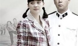 父母爱情电视剧在线观看,重温经典，共度温馨时光